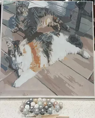 Custom paint by numbers portrait of two cats relaxing together