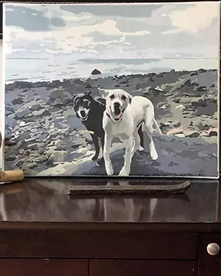 Custom paint by numbers portrait of two dogs exploring a rocky seaside shore