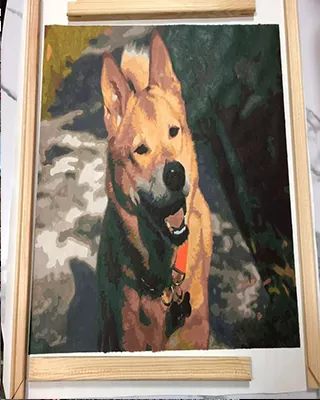 Custom pet paint by numbers of a happy brown dog outdoors