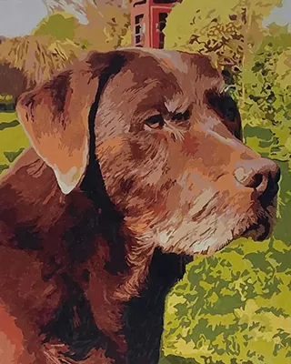 Custom pet portrait of a brown dog in a sunny garden