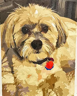 Custom pet portrait of a fluffy cream colored dog with a bright red tag.