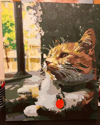 Custom pet portrait of a tabby cat resting by a sunlit window