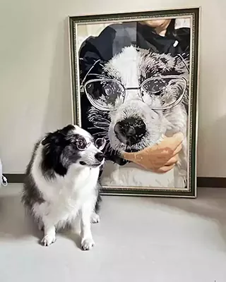 Dog posing beside its framed custom paint by numbers portrait with glasses