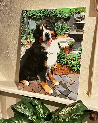 Finished custom paint by numbers of a Bernese Mountain Dog sitting in a garden