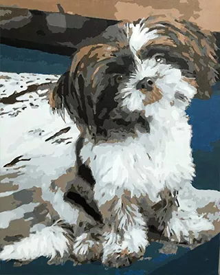 Fluffy black and white dog featured in a custom paint by numbers portrait