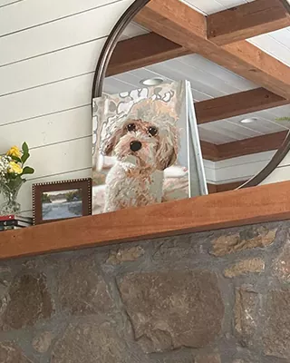 Fluffy white dog featured in a custom paint by numbers portrait