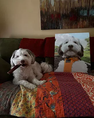 Fluffy white dog posing beside its finished custom paint by numbers portrait
