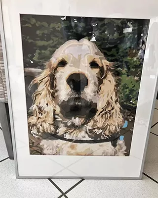 Framed Cocker Spaniel portrait created with a custom paint by numbers kit