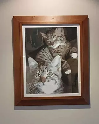 Framed custom paint by numbers featuring two tabby cats