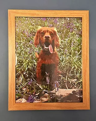 Framed custom paint by numbers of a brown dog sitting among wildflowers