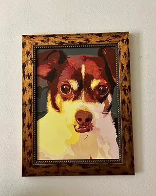 Framed custom paint by numbers portrait of a brown and white dog