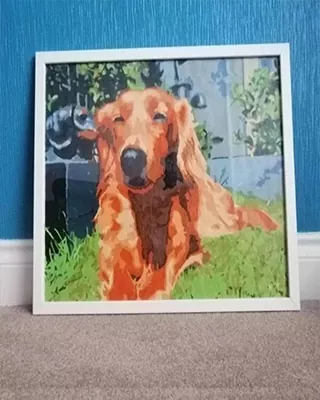 Framed custom paint by numbers portrait of a golden retriever