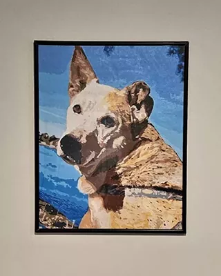 Framed custom paint by numbers portrait of a tan dog against a blue sky
