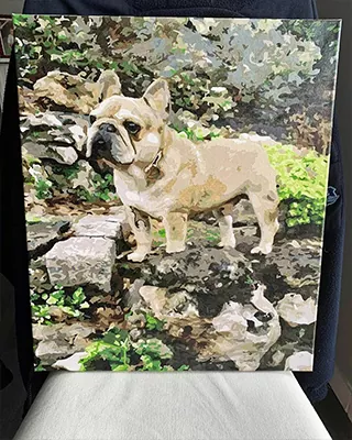 French bulldog standing outdoors in a custom paint by numbers portrait