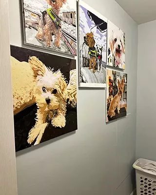Gallery wall displaying several custom paint by numbers dog portraits