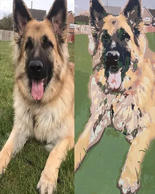 German Shepherd photo shown beside its finished custom paint by numbers portrait