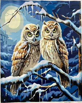 Moonlit owl pair perched on snowy branches