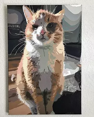 Orange and white cat featured in a finished custom paint by numbers portrait
