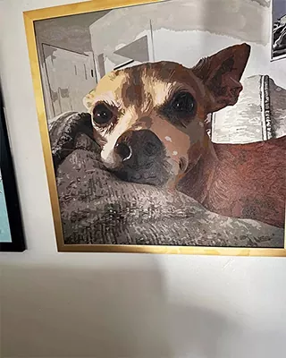 Small brown and white dog resting on a cushion in a custom paint by numbers portrait