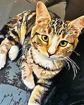 Tabby cat with bright eyes featured in a custom paint by numbers portrait