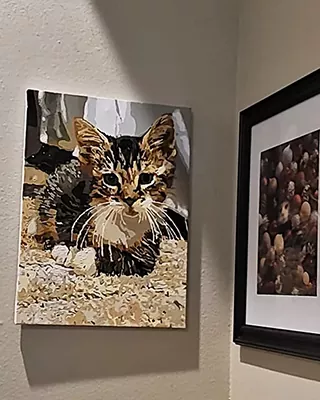 Tabby kitten featured in a finished custom paint by numbers portrait