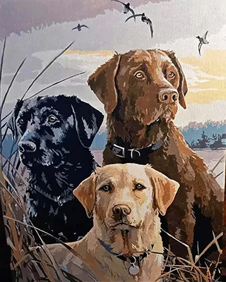 Three Labrador dogs together in a custom paint by numbers portrait