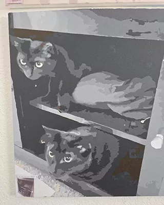 Two black cats relaxing together in a personalized paint by numbers portrait.