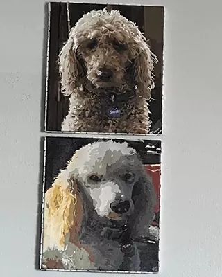 Two custom paint by numbers portraits of curly-haired dogs displayed together on a wall