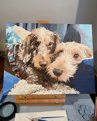 Two dogs cuddled together in a custom paint by numbers portrait