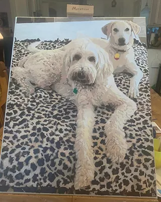 Two dogs relaxing together on a patterned bed in a personalized paint by numbers portrait