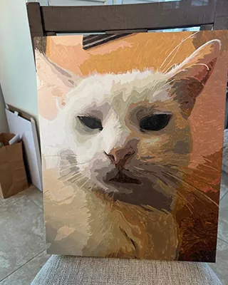 White cat close-up featured in a custom paint by numbers portrait