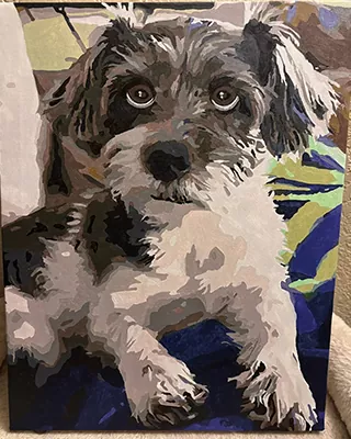 Wide-eyed dog in a custom paint by numbers portrait