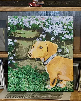 Yellow dog sitting among flowers in a custom paint by numbers portrait