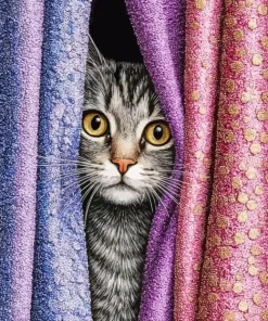 Curtain Cat Paint By Numbers