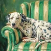 Dalmatian Dog Paint By Numbers