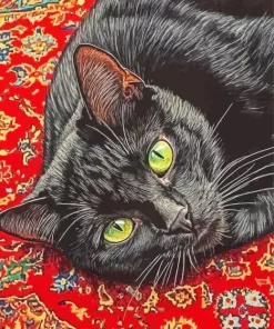 Black Cat Paint By Numbers