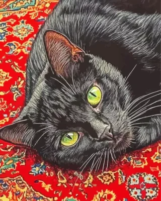 Black Cat Paint By Numbers 