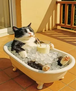 Cat Relaxing In A Bathtub Paint By Numbers