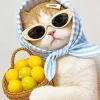 Lemon Cat Paint By Numbers